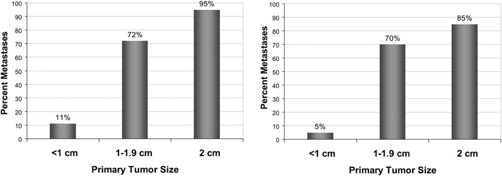 Fingerhut Shoe Size Chart