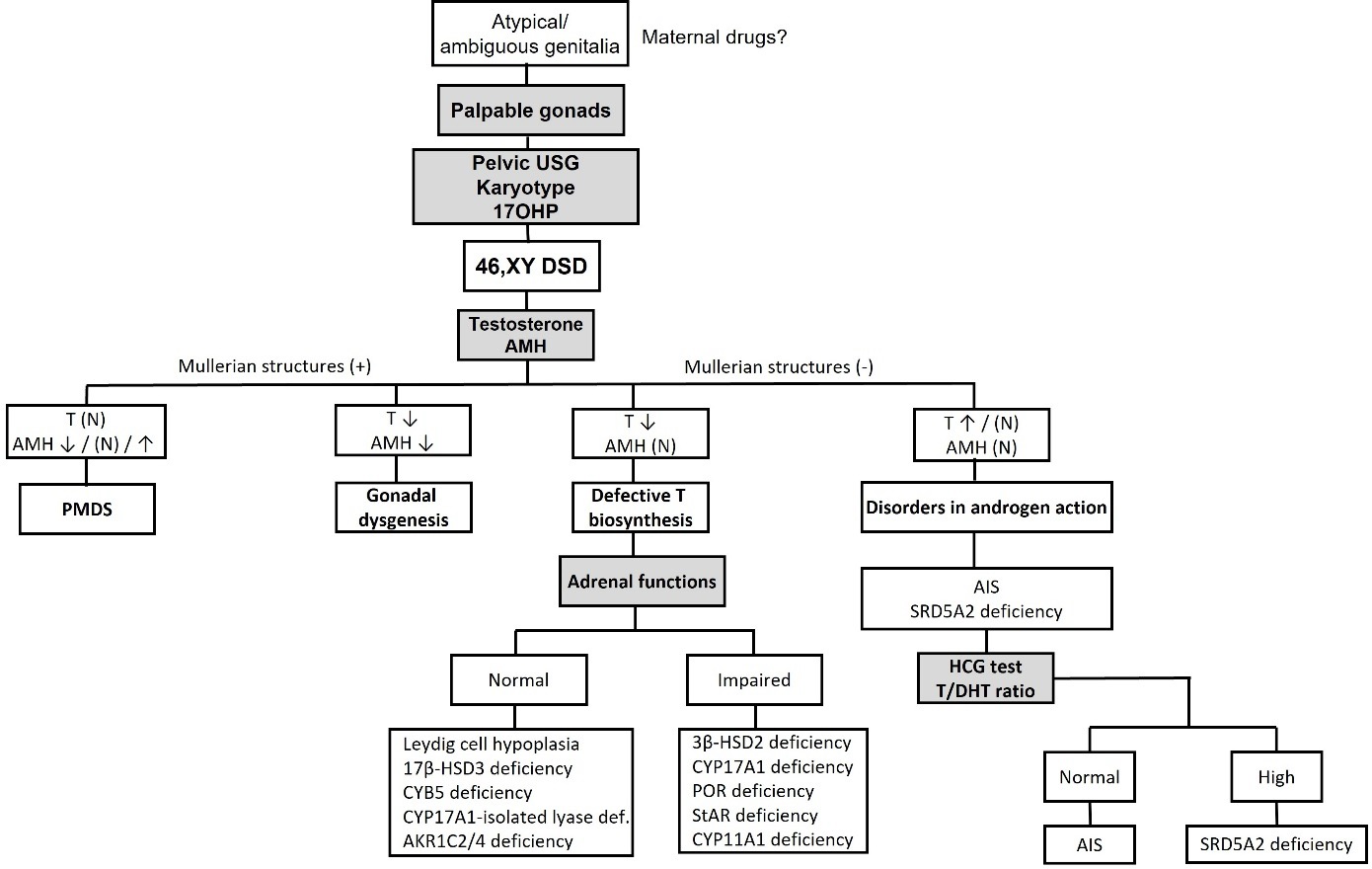 PDF) Statins, Fibrates and Myopathy: Pathophysiological Mechanism, Risk  Factors and Laboratory Markers