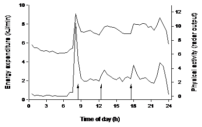 Figure 4: Energy expenditure (upper line) and physical activity (lower line) as measured over a 24-h interval in a respiration chamber. Arrows denote meal times. Data are the average of 37 subjects, 17 women and 20 men, age 20-35 y and body mass index 20-30 kg/m2.