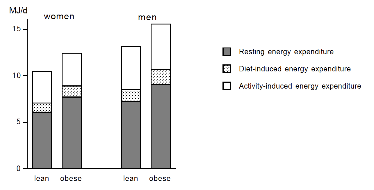 Figure 6: The three components of energy expenditure: resting energy expenditure (closed bar), diet-induced energy expenditure (stippled bar), and activity-induced energy expenditure (open bar) as observed in lean and obese subjects. In the lean group, women and men weighed 61 kg and 74 kg with 29% and 17% body fat, respectively. In the obese group, subjects were on average 40 kg heavier, where 70% of the additional weight was fat mass and 30% fat-free mass. The figure clearly illustrates the higher energy expenditure (primarily in resting energy expenditure) in men than in women and in obese than in lean subjects. (After reference 14).