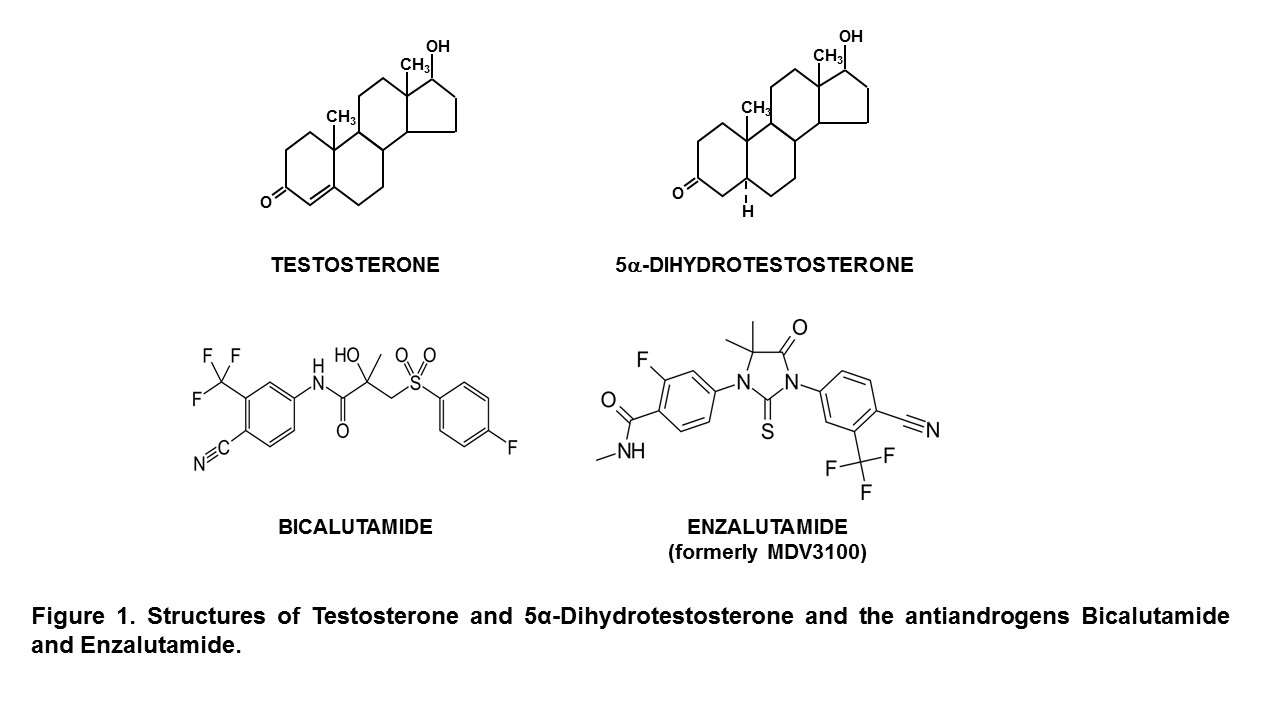 Figure 1. Structures of Testosterone and 5α-Dihydrotestosterone .