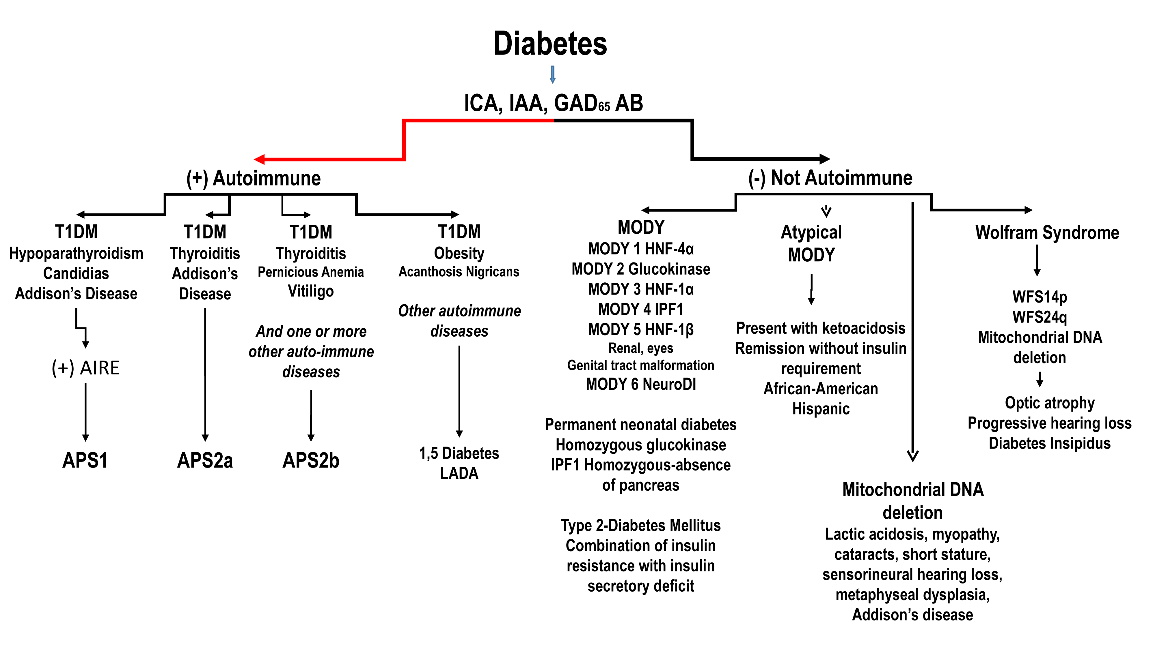 Diabetes Types Chart