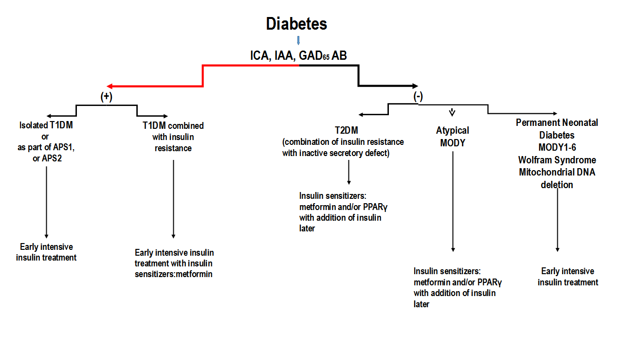 Figure 14. Algorithm for the treatment of different forms of diabetes. T1DM.