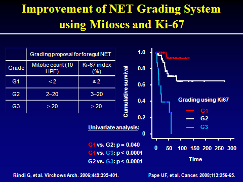 illustrates the value of the grading system based upon mitotic count per 10 high power fields and the KI67 index given as % of the cells staining positive immunohistochemically