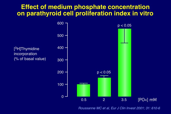 Figure 12. Stimulatory effect on parathyroid cell proliferation (measured by KI-67 staining method) of high medium phosphate concentrations in the incubation milieu of a human parathyroid cell culture system derived from hyperplastic parathyroid tissue of patients with severe secondary uremic hyperparathyroidism.
