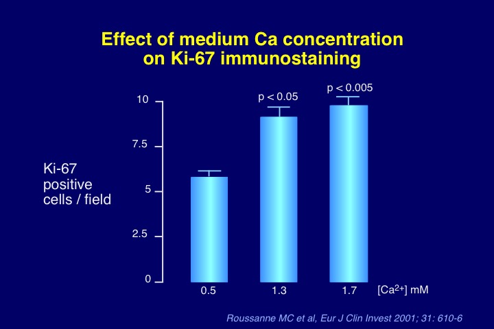 Figure 7. Stimulatory effect on parathyroid cell proliferation (measured by KI-67 staining method) of high medium calcium concentrations in the incubation milieu of a human parathyroid cell culture system derived from hyperplastic parathyroid tissue of patients with severe secondary uremic hyperparathyroidism.