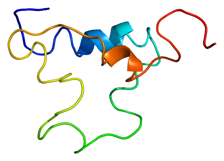 Figure 5: Three dimensional structure of IGF1 from Protein Data Bank (Wikipedia)
