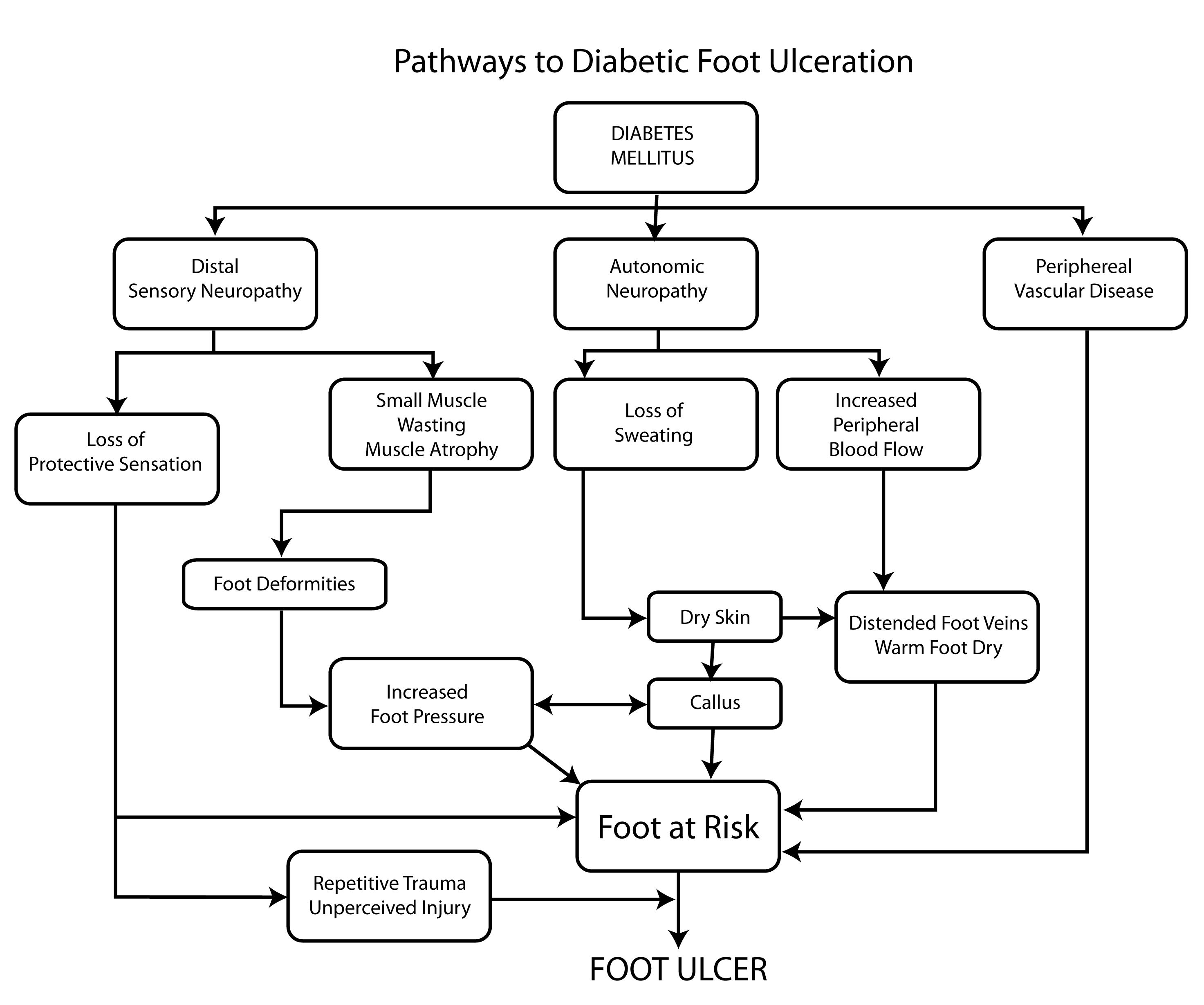 Figure 1. Pathways to diabetic foot ulceration.
