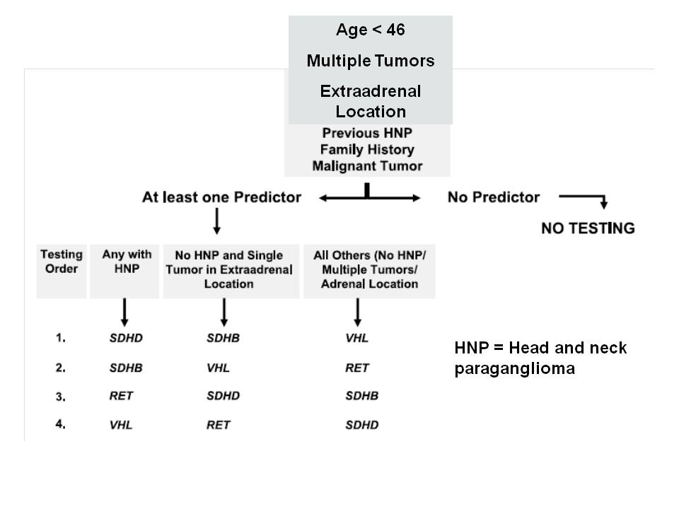 Figure 3. Proposed Algorithm for Genetic Testing in pheochromocytoma. Modified from Erlic et al., 2009 (ref. 81)