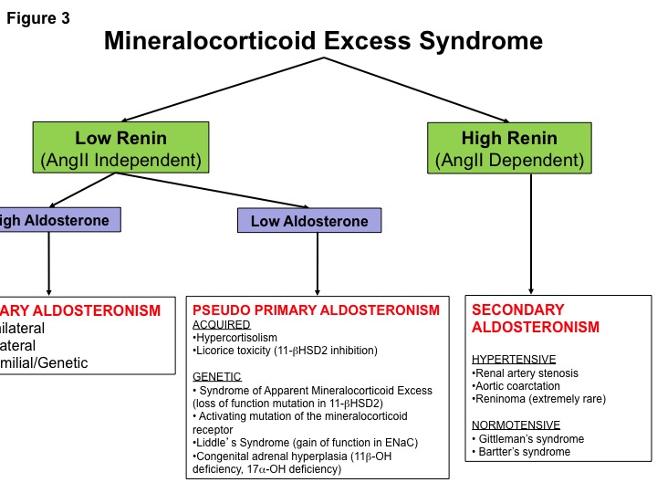 Figure 3: The Approach to Mineralocorticoid Excess Syndromes. See concept video above or at https://www.youtube.com/watch?v=db9v9kNIiXU. Evaluation of renin as suppressed or unsuppressed is often the first algorithmic step to determine whether the underlying pathophysiology is renin or AngII-dependent versus renin or AngII-independent. Renin-independent states (low renin) can be further characterized as having a relatively high aldosterone (primary aldosteronism) or a suppressed aldosterone (pseudo primary aldosteronism). High renin states represent secondary aldosteronism and may present with hypertension or normotension, depending on the nature of disease.