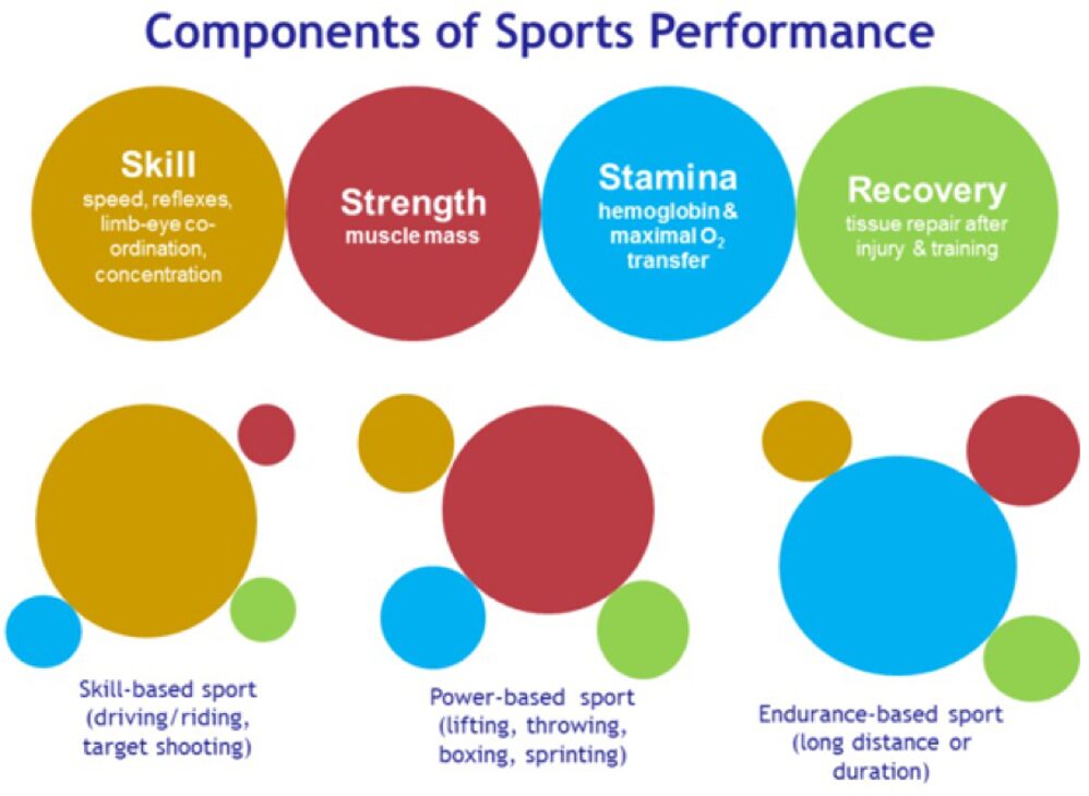 Figure 1. Components of Sports Performance.