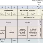 Figure 1: The Stages of Reproductive Aging Workshop +10 staging system for reproductive aging in women (1).