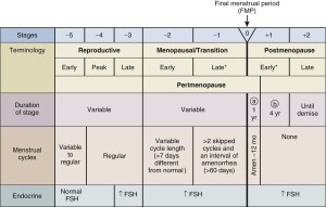 Figure 1: The Stages of Reproductive Aging Workshop +10 staging system for reproductive aging in women (1).